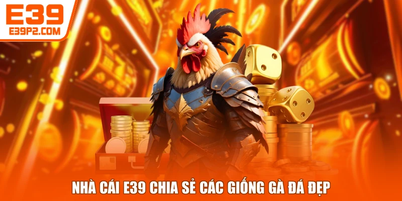 Nhà cái E39 chia sẻ các giống gà đá đẹp