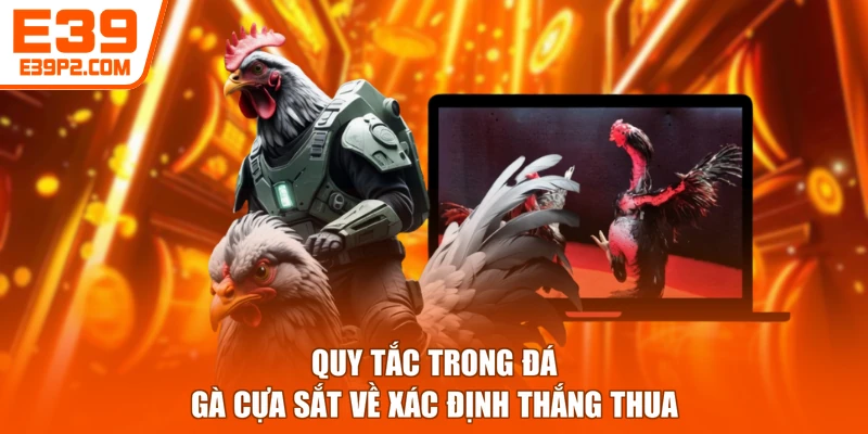 Quy tắc trong đá gà cựa sắt về xác định thắng thua