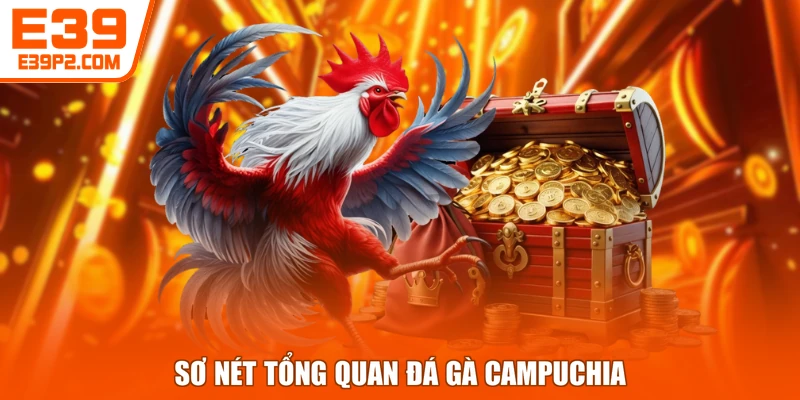 Sơ nét tổng quan đá gà Campuchia