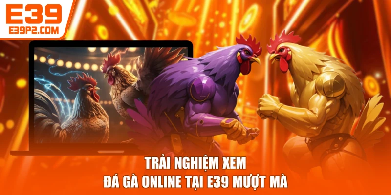 Trải nghiệm xem đá gà online tại E39 mượt mà